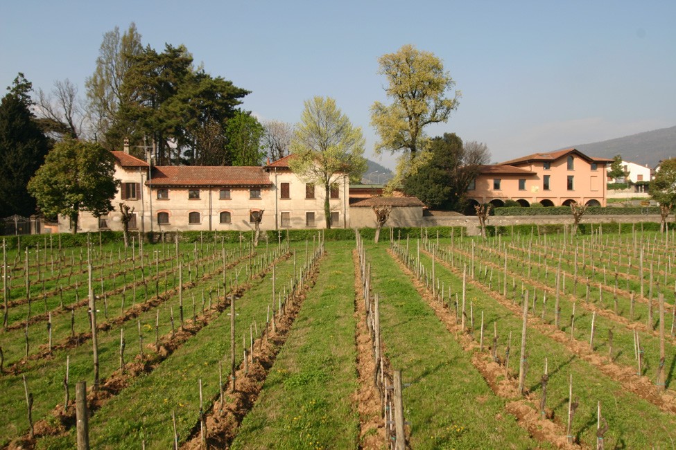 Prorogata validità! Alla scoperta della Franciacorta! 2 giorni e 1 notte  in appartamento dotato di cucina indipendente + visita guidata del Museo Agricolo e del Vino della Cantina Ricci Curbastro e degustazione di 2 calici di Franciacorta DOCG!
