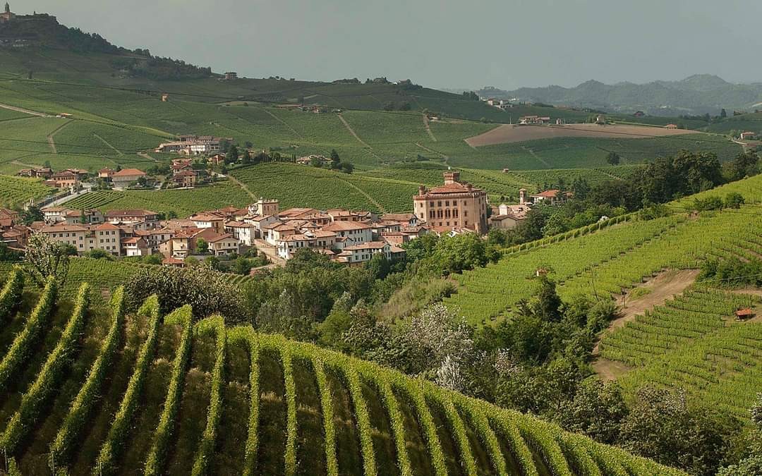 A Barolo! In Piazza Eraldo Cabutto  da Vinicola 23  Degustazione di coppia con  3 calici di vino e tagliere di formaggi e salumi locali!