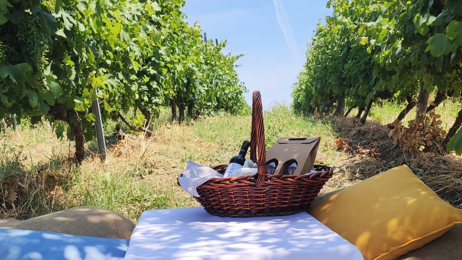 Novita'! Picnic in vigna dalla Cantina Ca del Bricco! Visita in cantina  e picnic in vigna con bottiglia di vino ogni 2 persone e salame! Coupon da non perdere!