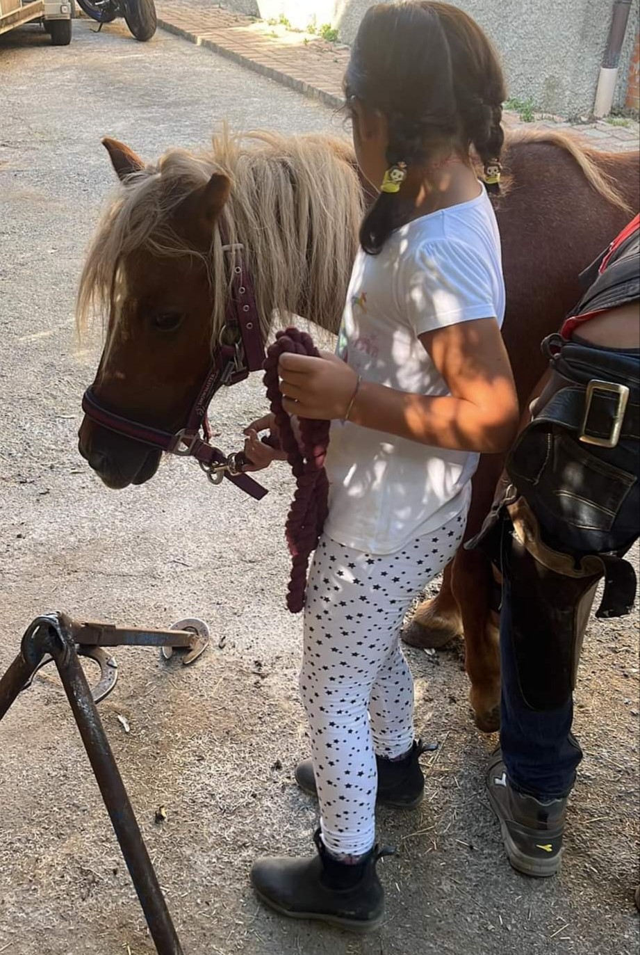 Novita'!! Passeggiata  di 1 h  con pony per bambini! Coupon utilizzabile anche nel week-end!
